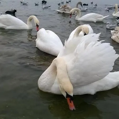 ゲストハウス Rin *